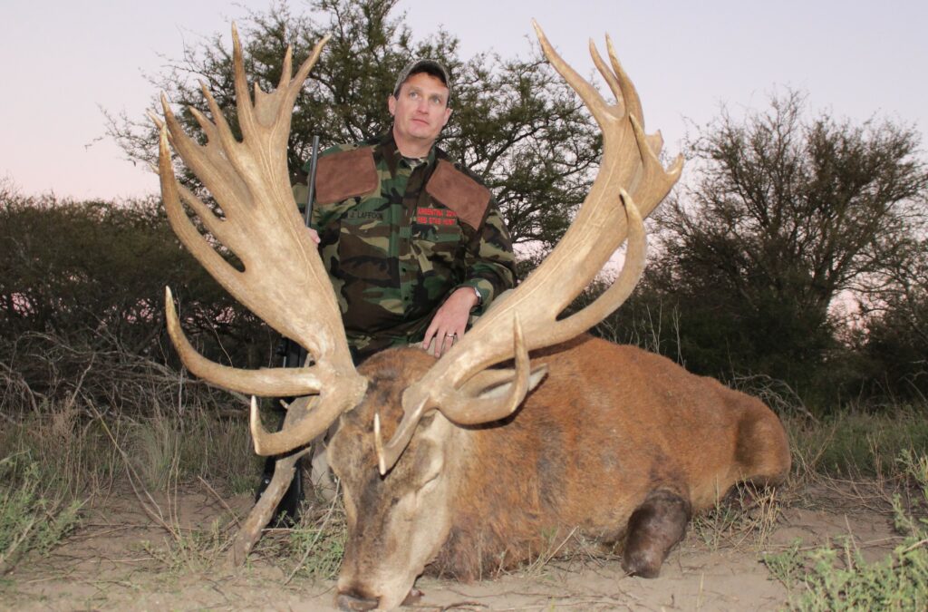 red stag 1