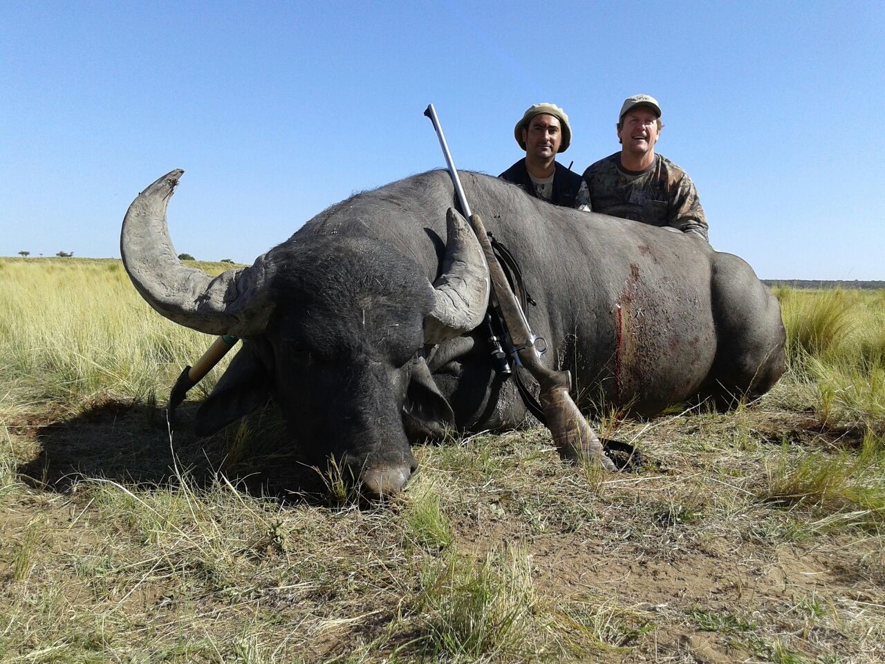 The History of Water Buffalo Hunting in Argentina South American
