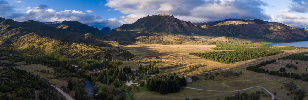 Species red stag & muflon Patagonia (2)