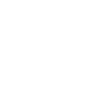 temperature icon