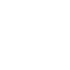 snowfall icon