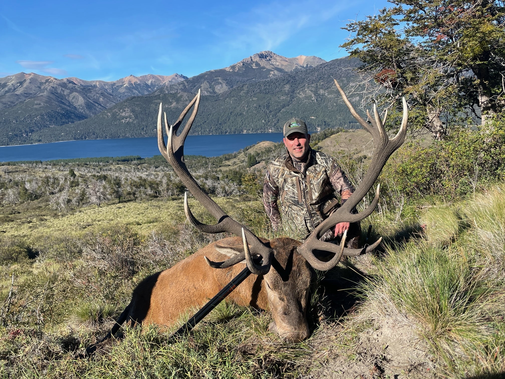 Free Range Red Stag Patagonia image 9