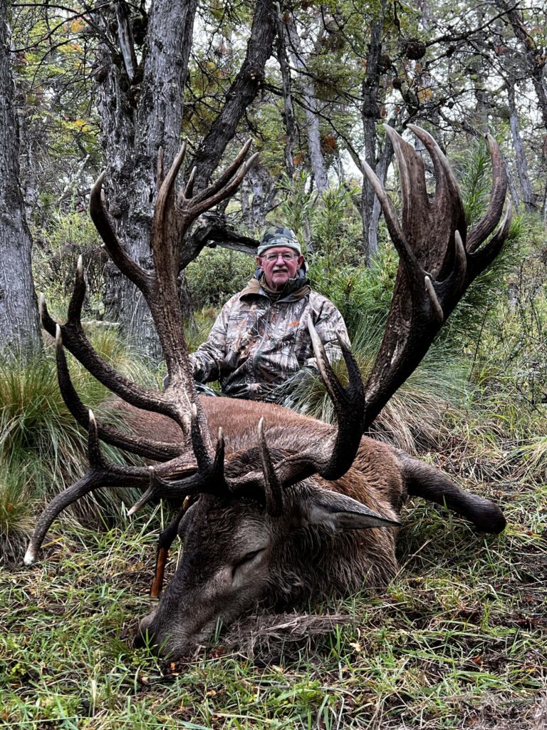 Gold Medal Red Stag Patagonia Image 1