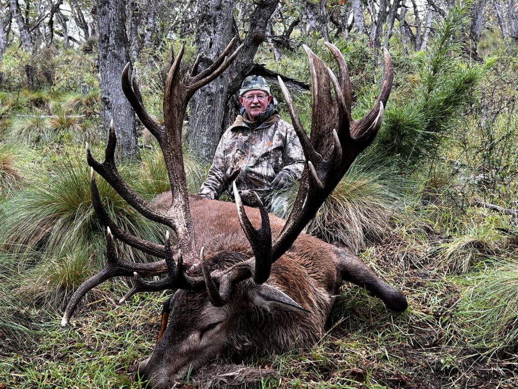 Gold Medal Red Stag Patagonia Image 11