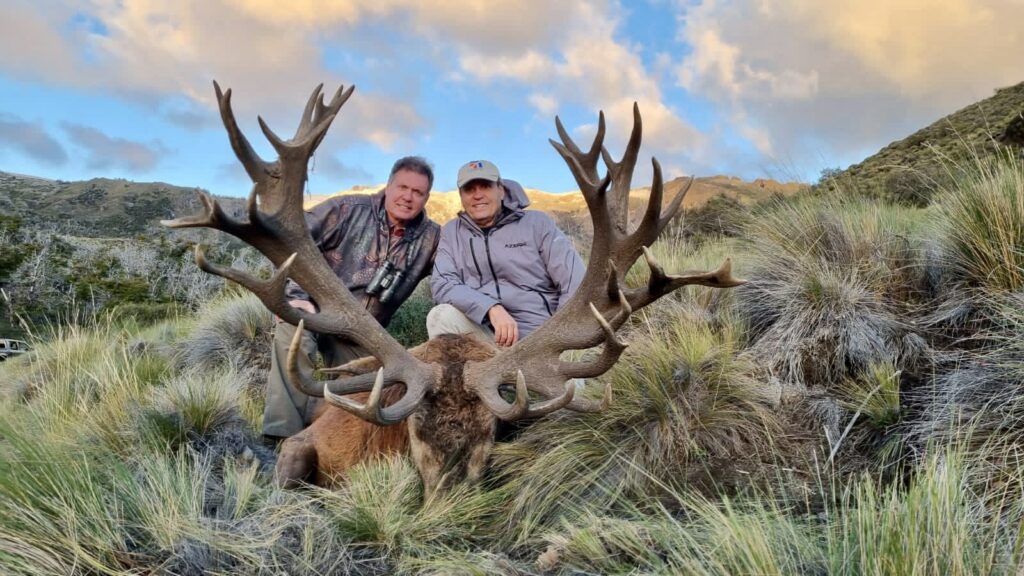 Gold Medal Red Stag Patagonia Image 13