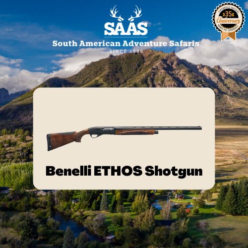 benelli-ethos-gun