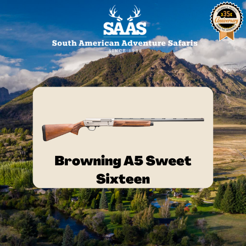 browning a5 sweet-gun
