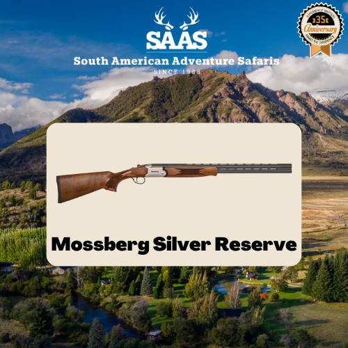 mossberg sliver gun