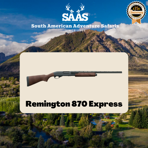 remington-gun