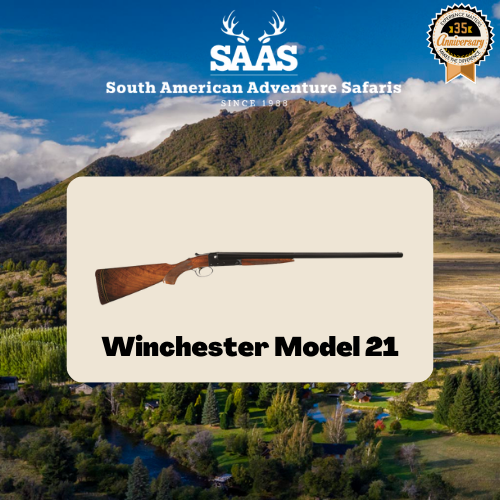 winchester-gun