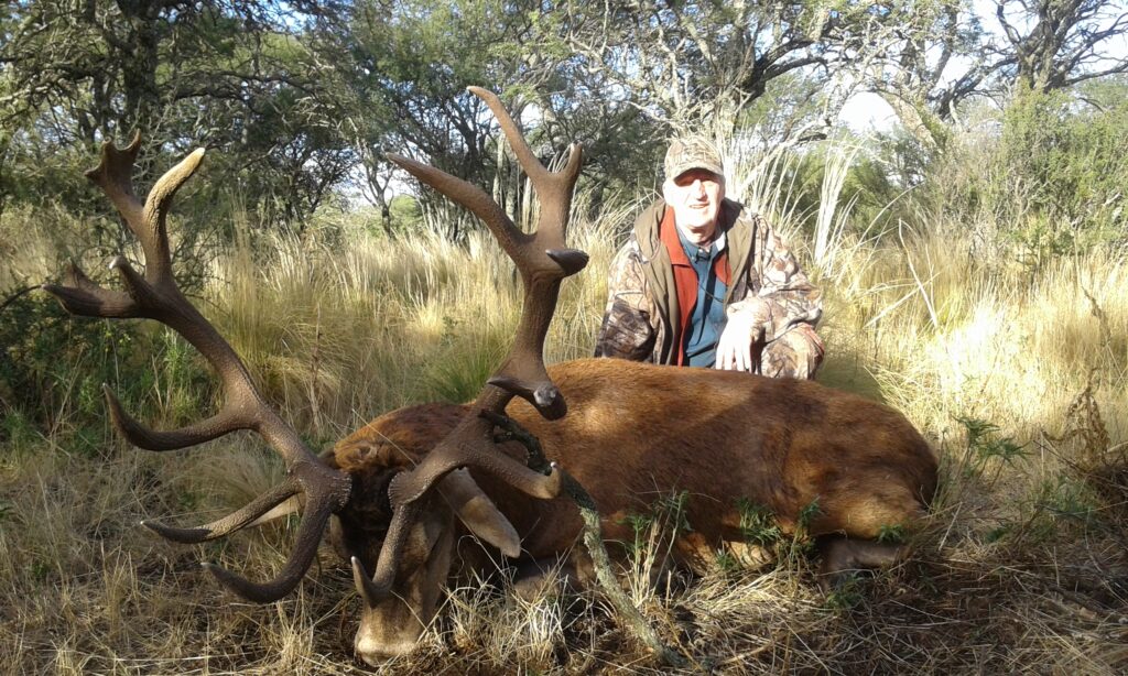 big game red stag argentina hunt 2