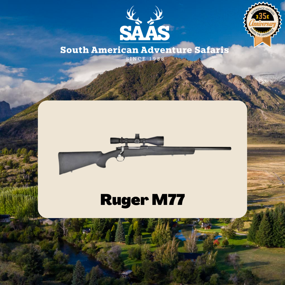 Ruger M77