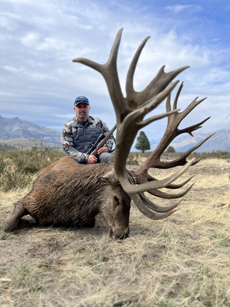 red stag hunt Gold medal Patagonia