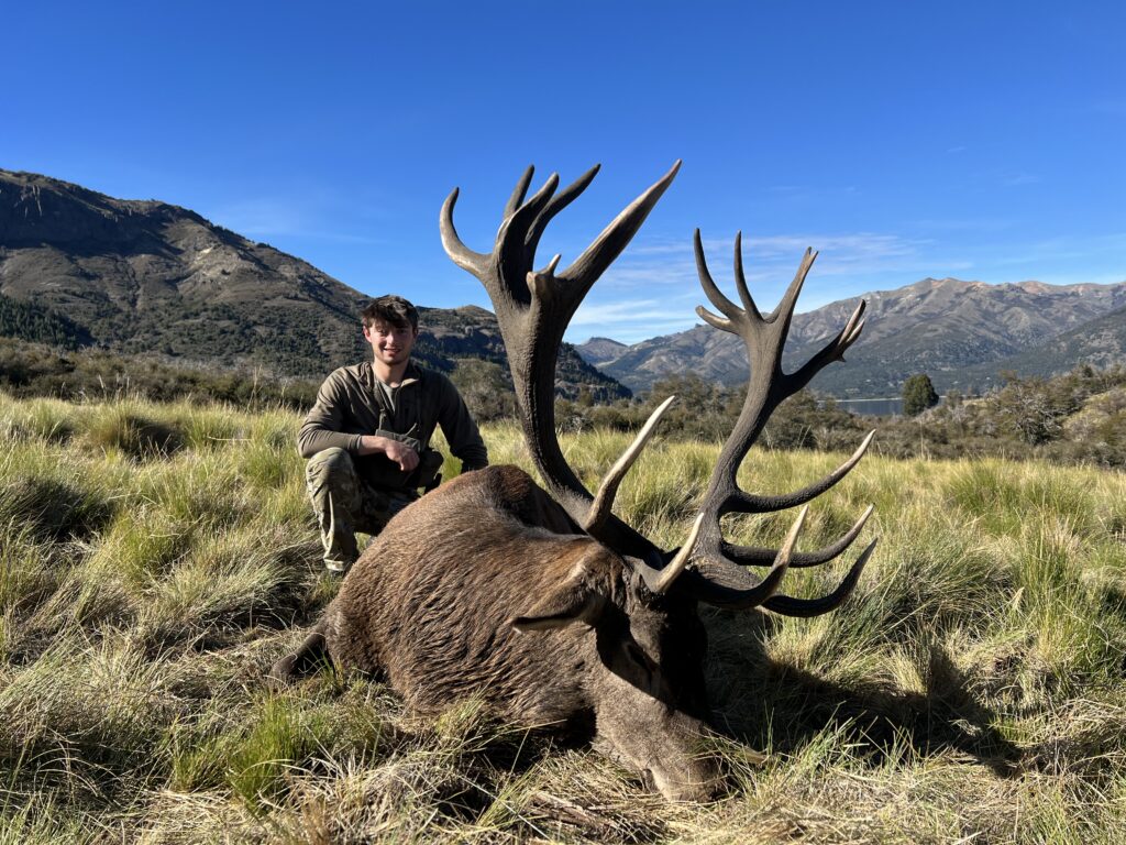 red stag hunt Gold medal Patagonia 1