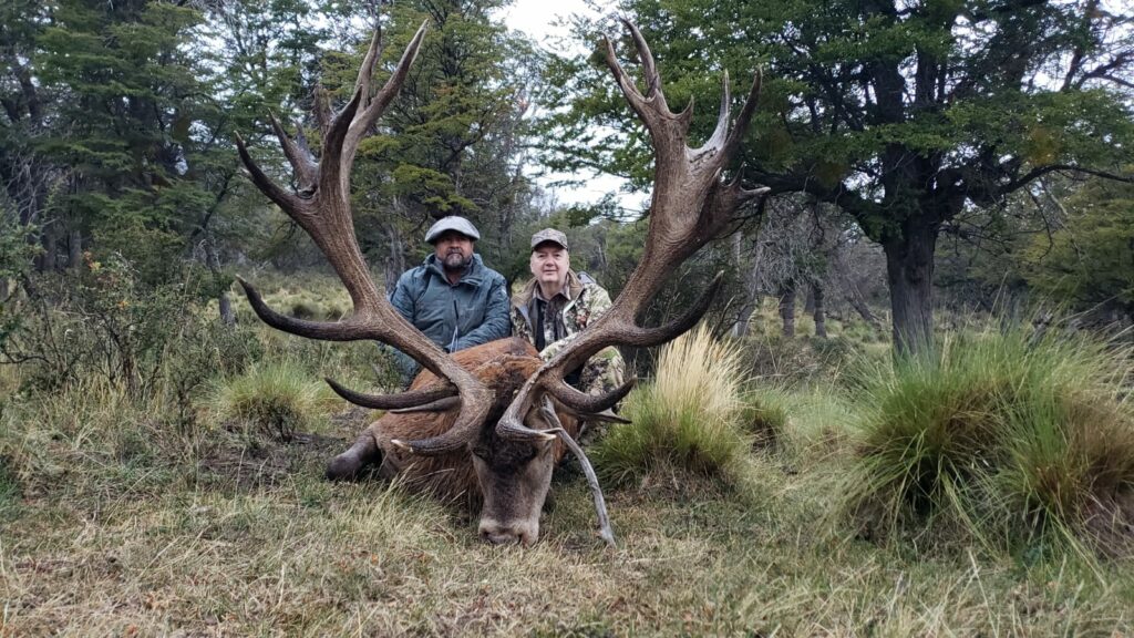 red stag hunt Gold medal Patagonia 12