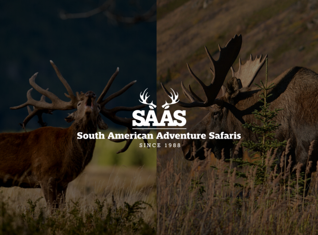 Red Stag Vs Moose with South American Adventure Safaris Logo