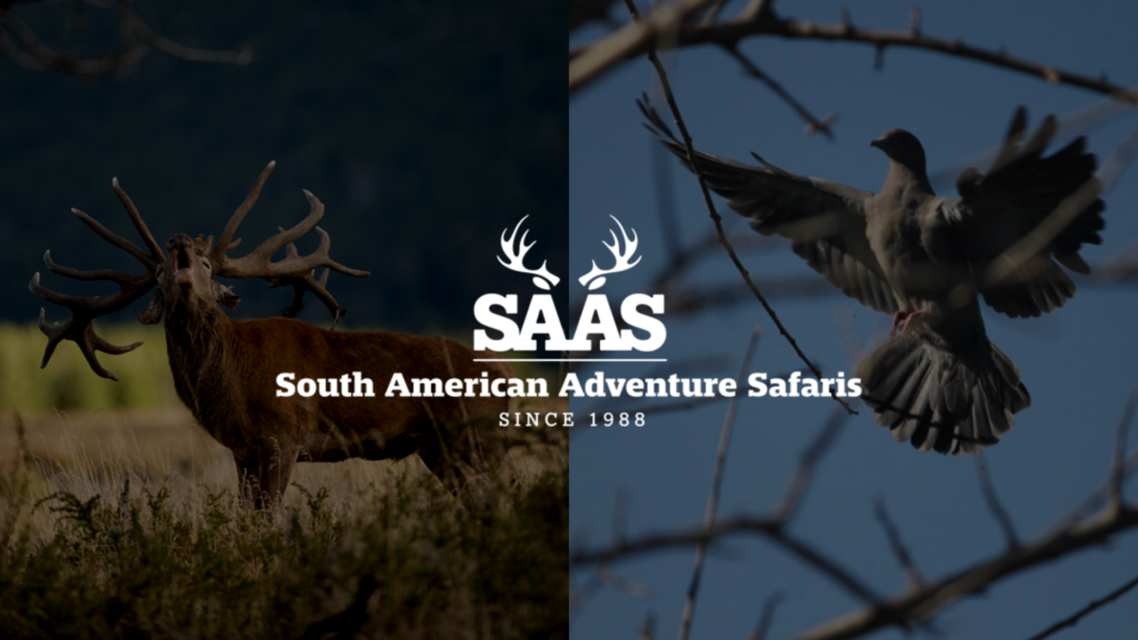 Big Game and Wingshooting with South American Adventure Safaris Logo