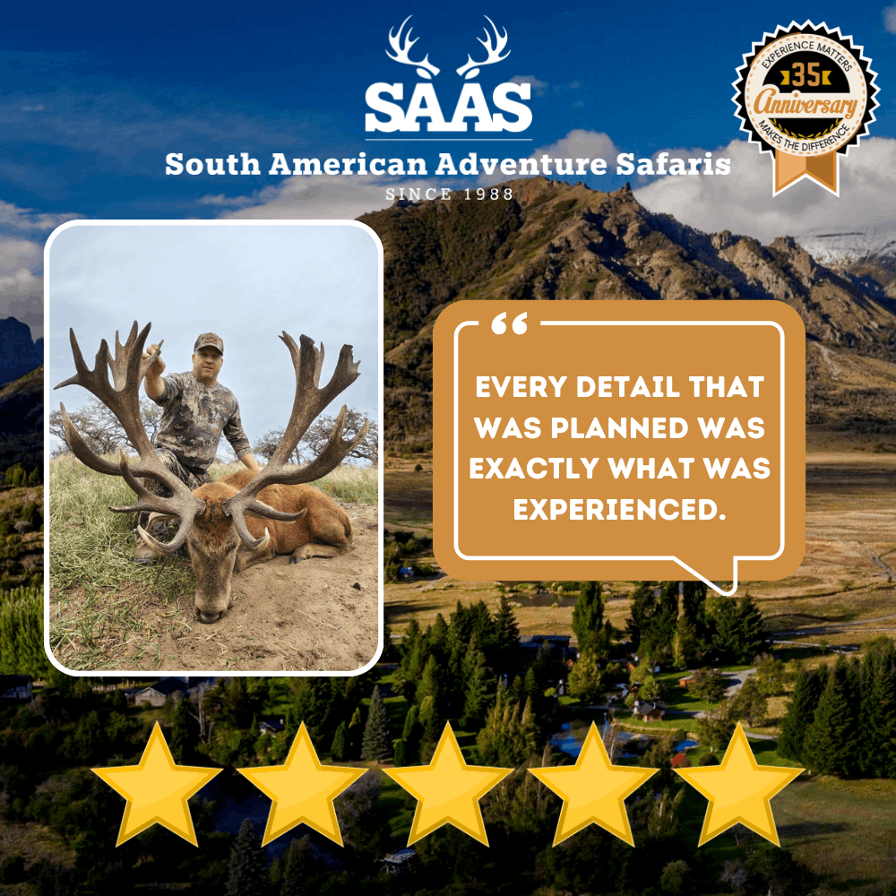 Saas Review 26 (1)