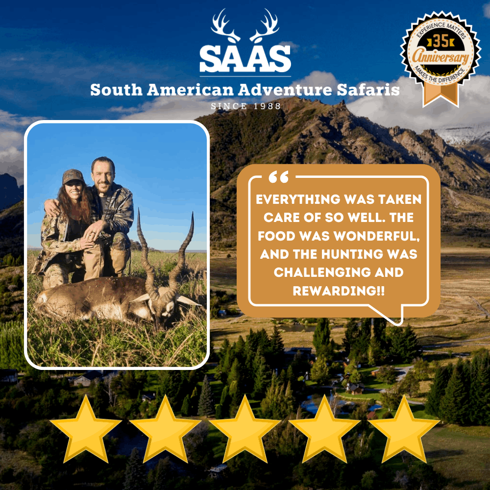 Saas Review 28 (1)
