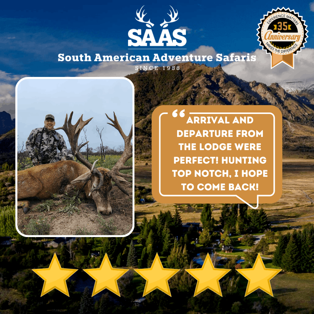 Saas Review 29 (1)