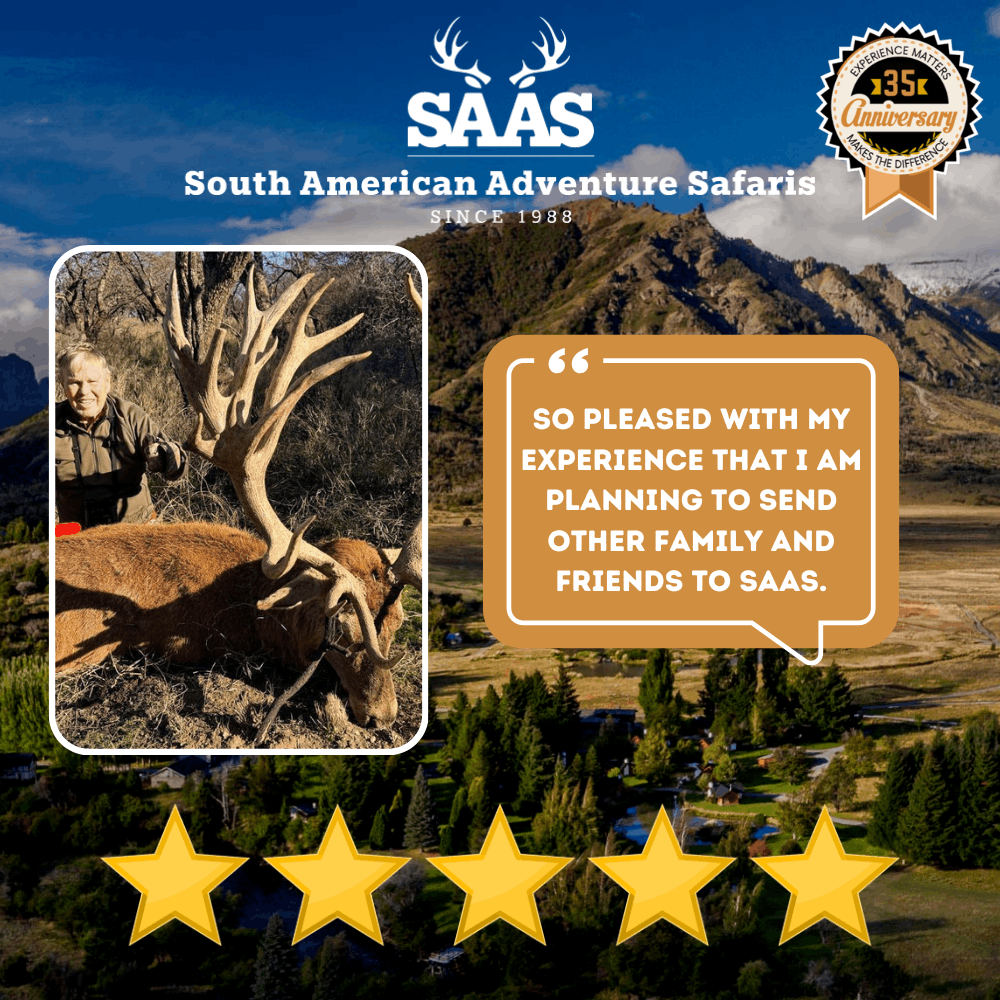 Saas Review 31 (1)