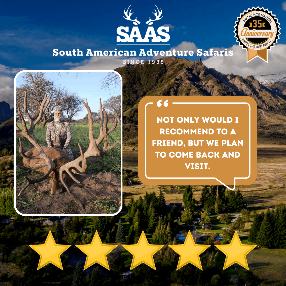 Saas Review 32 (1)