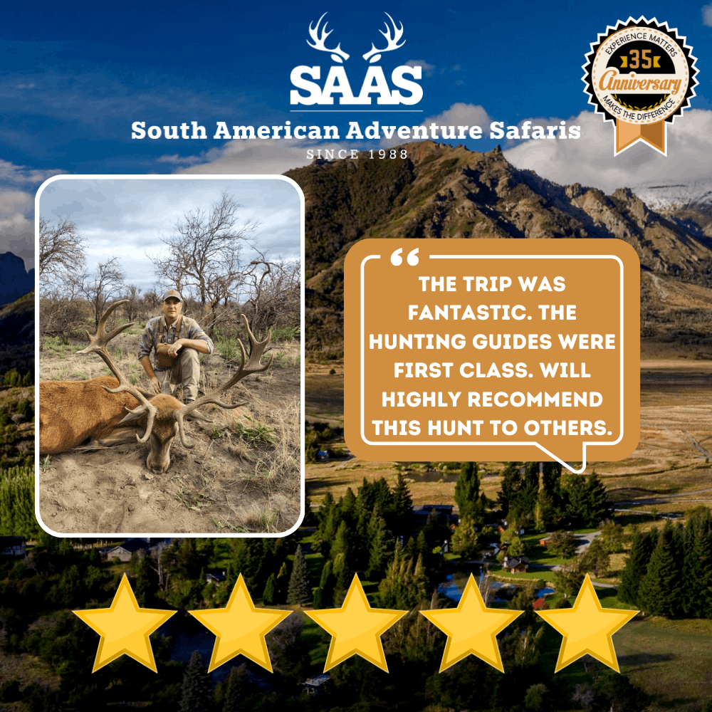 Saas Review 33 (1)