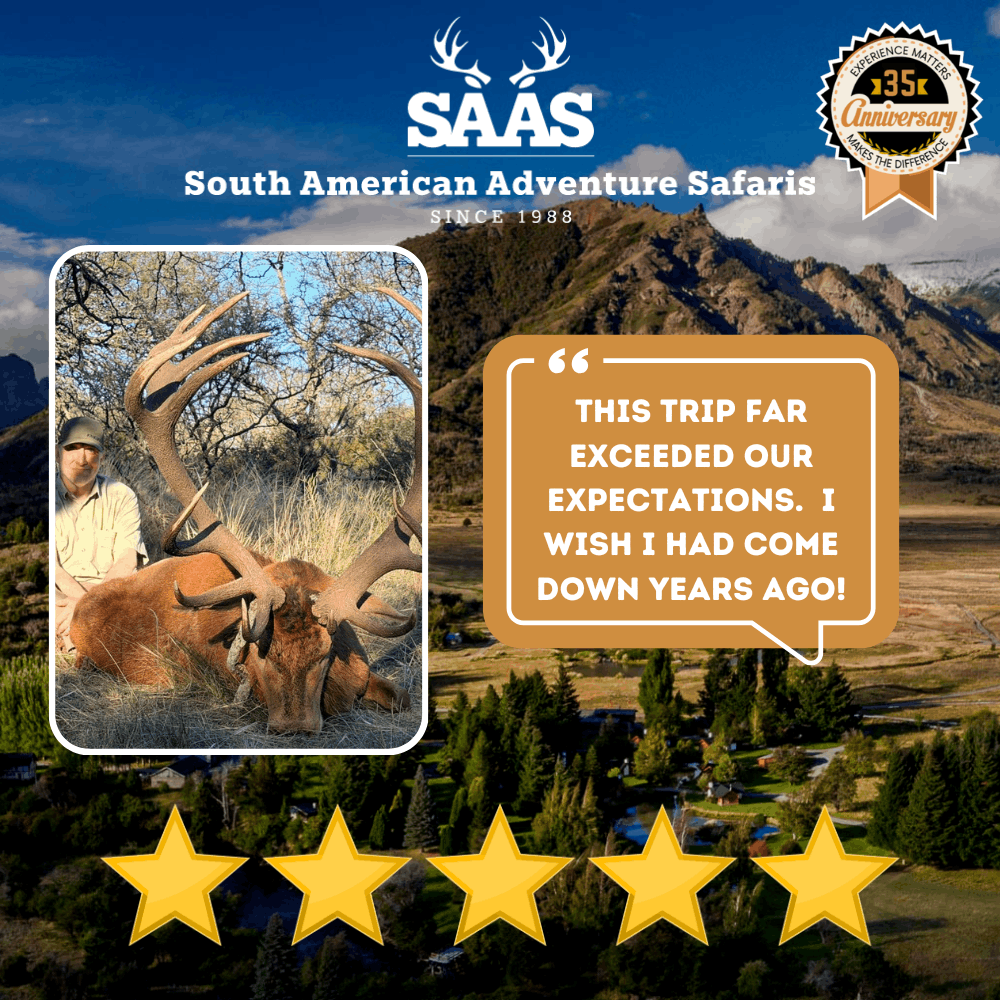 Saas Review 34 (1)