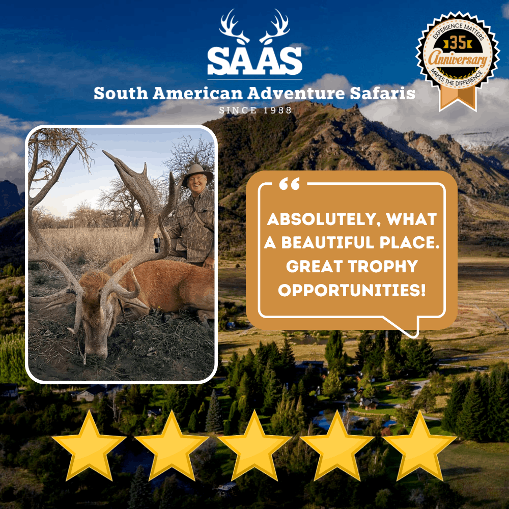 Saas Review 36 (1)