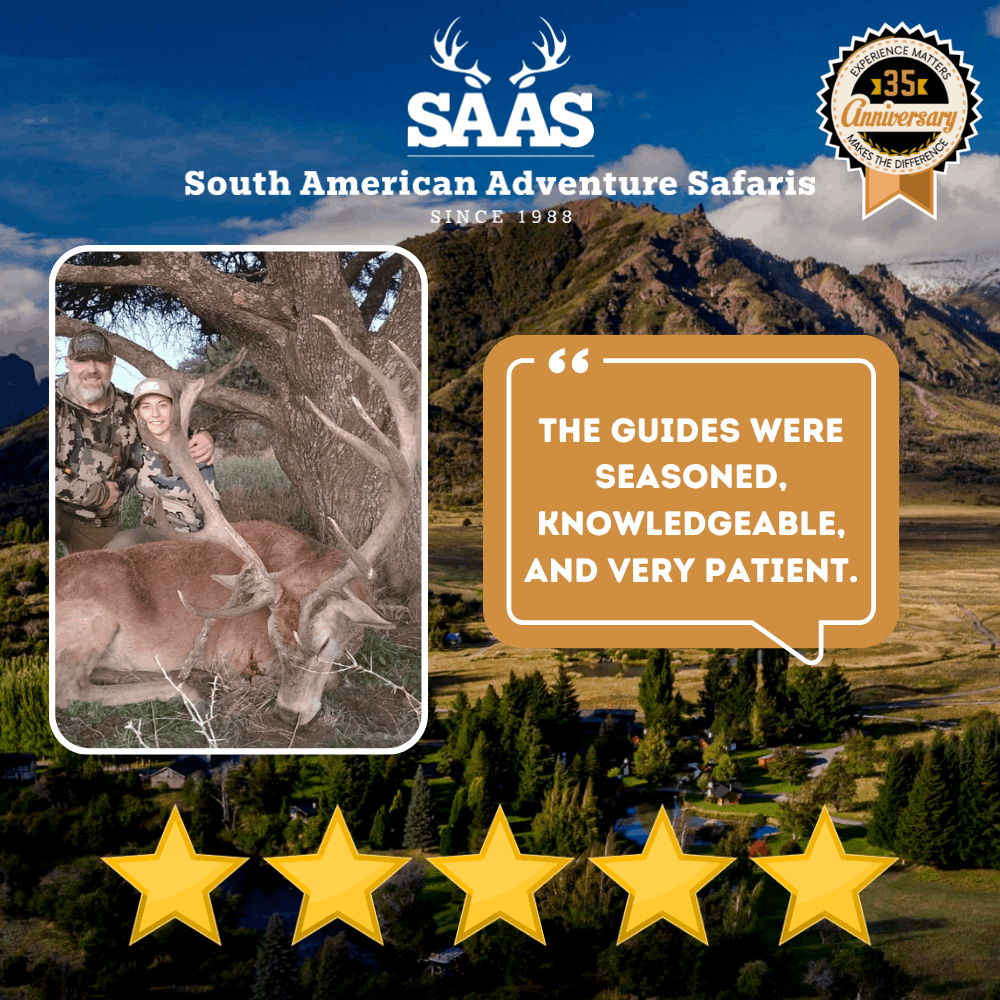 Saas Review 37 (1)